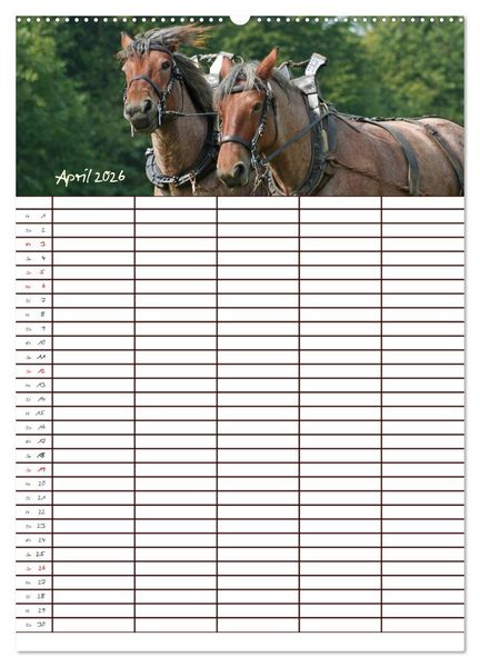 Produktbild: Der Kaltblut-Familienplaner (Wandkalender 2026 DIN A2 hoch), CALVENDO Monatskalender