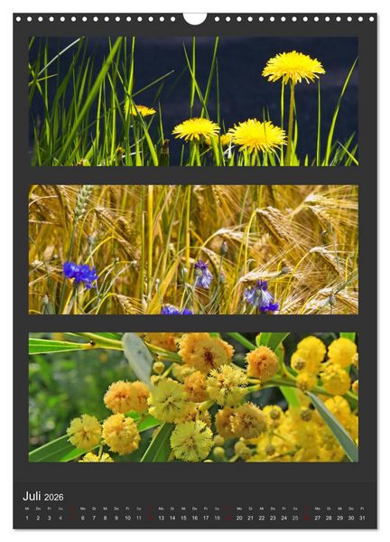 Produktbild: Naturfarben entdecken (Wandkalender 2026 DIN A3 hoch), CALVENDO Monatskalender