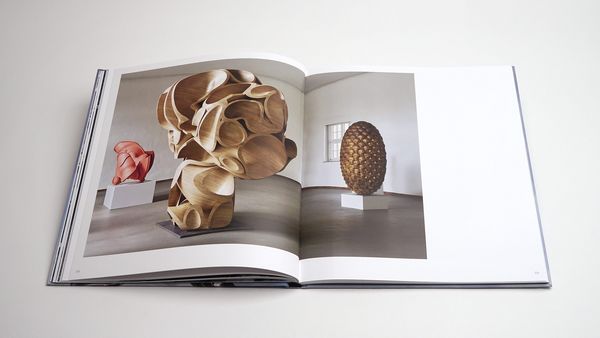 Produktbild: Tony Cragg: Points of View