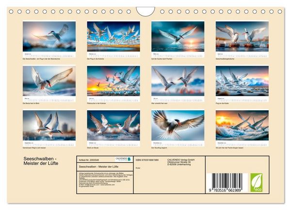 Produktbild: Seeschwalben - Meister der L&uuml;fte (Wandkalender 2026 DIN A4 quer), CALVENDO Monatskalender