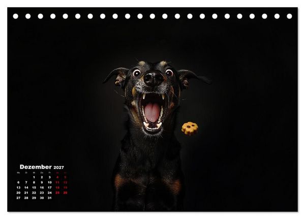 Produktbild: Leckerchen! (Tischkalender 2027 DIN A5 quer), CALVENDO Monatskalender