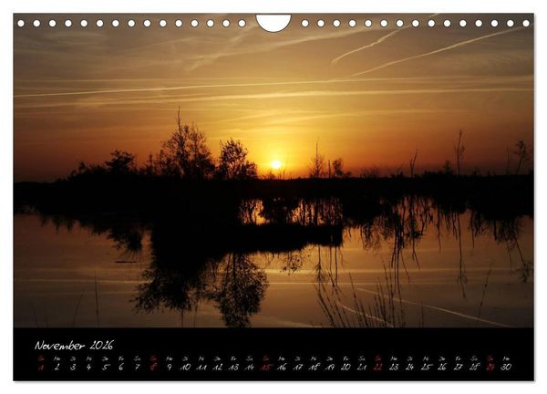 Produktbild: Im Goldenstedter Moor (Wandkalender 2026 DIN A4 quer), CALVENDO Monatskalender