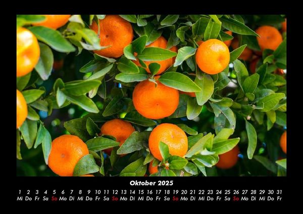 Produktbild: Obstkalender 2025 Fotokalender DIN A3