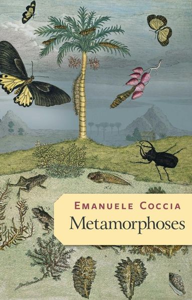 Produktbild: Metamorphoses