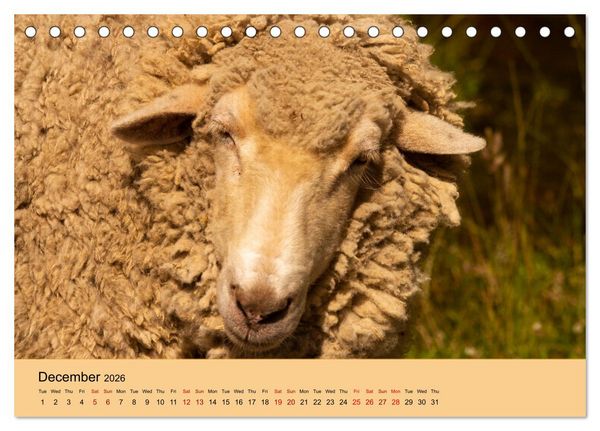 Produktbild: Our farm animals (Desk Calendar 2026 DIN A5 landscape), CALVENDO 12 Month DeskCalendar