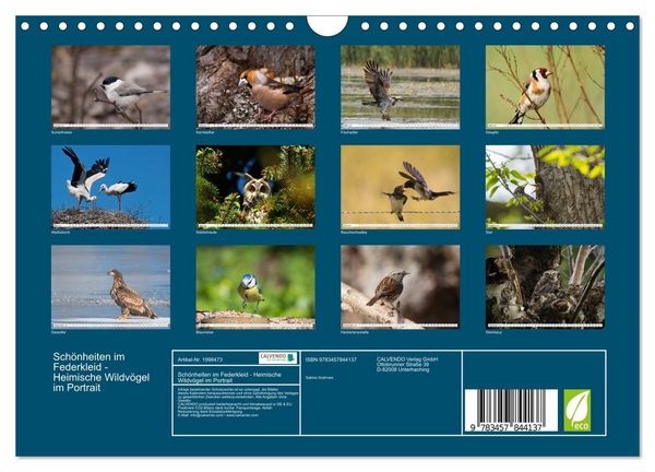 Produktbild: Sch&ouml;nheiten im Federkleid - Heimische Wildv&ouml;gel im Portrait (Wandkalender 2026 DIN A4 quer), CALVENDO Monatskalender