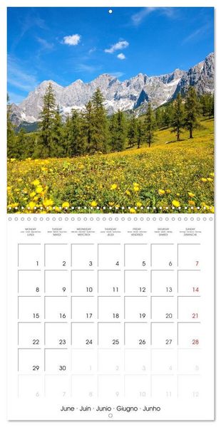 Produktbild: Kramer, C: Roof of the Alps (Wall Calendar 2026 12 &times; 12 Inch