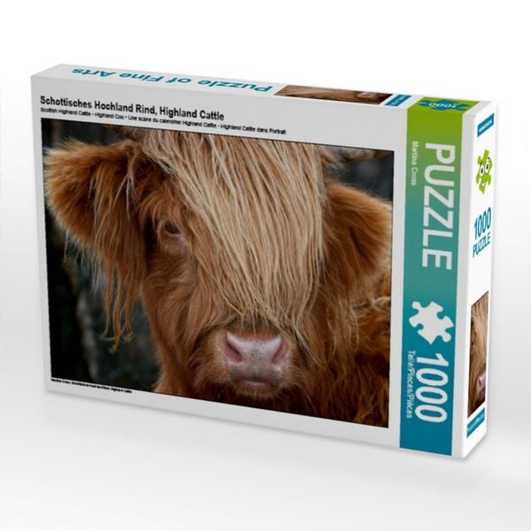 Produktbild: CALVENDO Puzzle Schottisches Hochland Rind, Highland Cattle 1000 Teile Puzzle quer | 1000 Teile Lege-Gr&ouml;&szlig;e 64 &times; 48 cm Foto-Puzzle f&uuml;r gl&uuml;ckliche Stunden