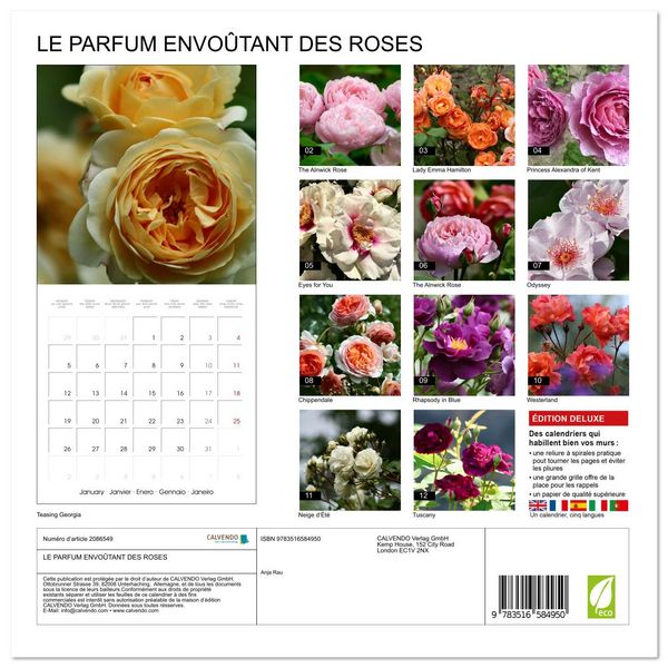 Produktbild: LE PARFUM ENVO&Ucirc;TANT DES ROSES (Calendrier mural carr&eacute; 2026 30x30 cm) Calendrier double avec une page pour vos prises de notes