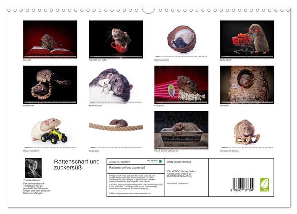 Produktbild: Rattenscharf und zuckers&uuml;&szlig; (Wandkalender 2026 DIN A3 quer), CALVENDO Monatskalender
