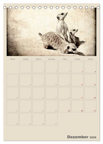 Produktbild: Lustige Erdm&auml;nnchen (Tischkalender 2026 DIN A5 hoch), CALVENDO Monatskalender