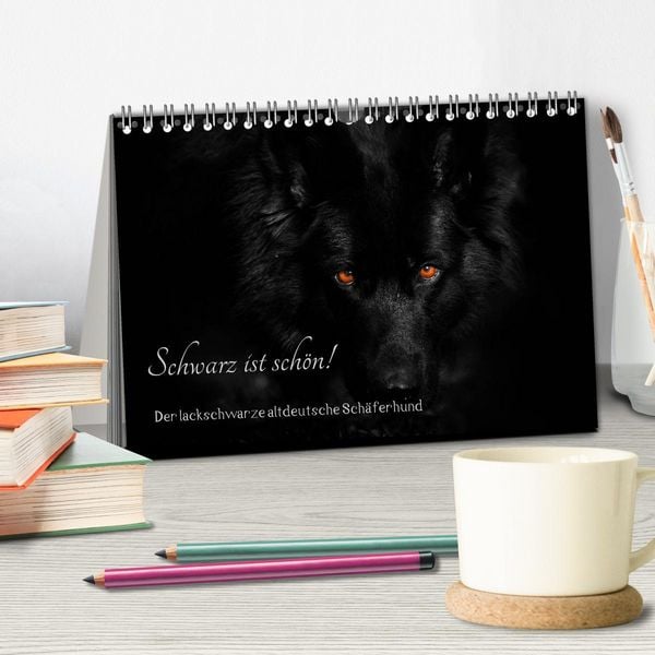 Produktbild: Schwarz ist sch&ouml;n! Der lackschwarze altdeutsche Sch&auml;ferhund (Tischkalender 2026 DIN A5 quer), CALVENDO Monatskalender