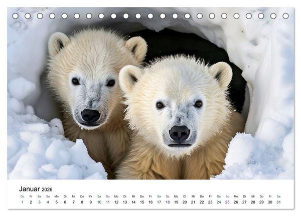 Produktbild: Tierkinder in Eis und Schnee (Tischkalender 2026 DIN A5 quer), CALVENDO Monatskalender