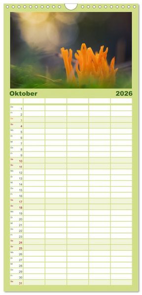 Produktbild: Familienplaner 2026 - Pilzmagie mit 5 Spalten (Wandkalender, 21 x 45 cm) CALVENDO
