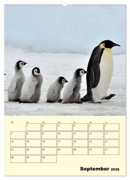 Produktbild: Pinguine. Wackeln im Thermo-Frack (hochwertiger Premium Wandkalender 2026 DIN A2 hoch), Kunstdruck in Hochglanz