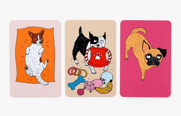 Produktbild: Hundeschule (auch f&uuml;r Menschen)