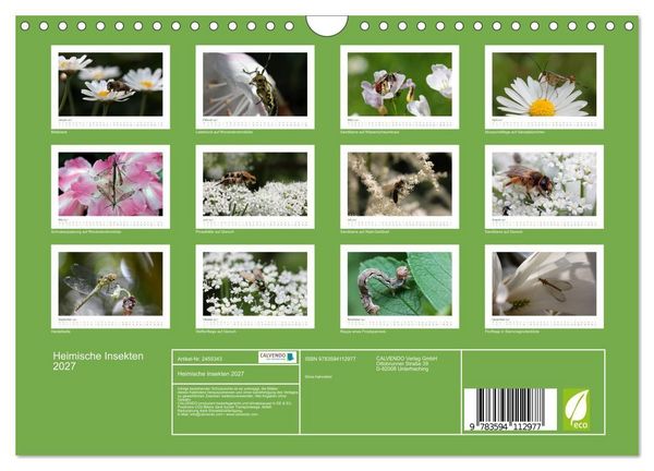 Produktbild: Heimische Insekten 2027 (Wandkalender 2027 DIN A4 quer), CALVENDO Monatskalender