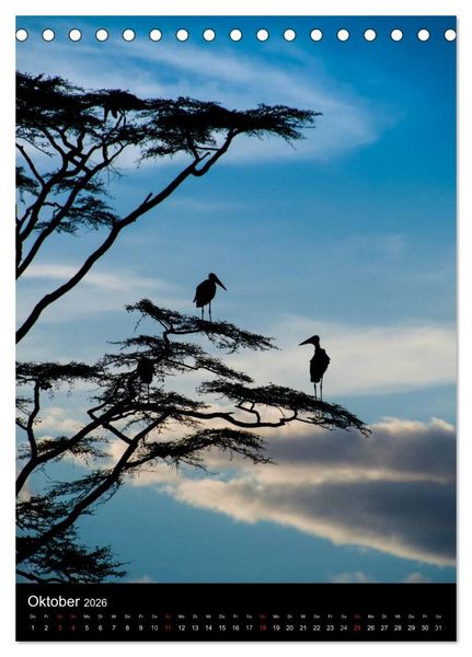 Produktbild: Wildes Afrika (Tischkalender 2026 DIN A5 hoch), CALVENDO Monatskalender