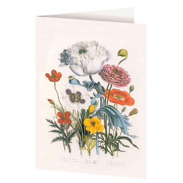 Produktbild: 4er-Set Doppelkarten &raquo;Blumengr&uuml;&szlig;e&laquo; mit Motiven von Jane C. Loudon