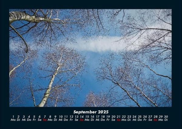 Produktbild: B&auml;ume 2025 Fotokalender DIN A4