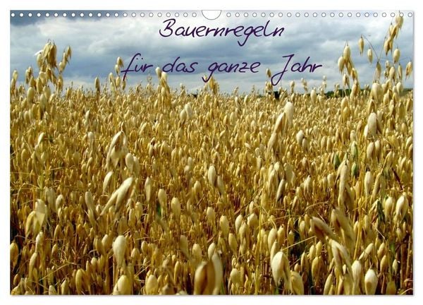 Produktbild: Bauernregeln f&uuml;r das ganze Jahr (Wandkalender 2026 DIN A3 quer), CALVENDO Monatskalender
