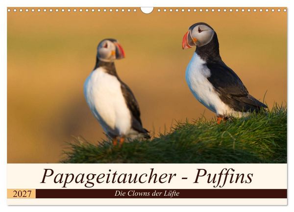 Produktbild: Papageitaucher - Puffins (Wandkalender 2027 DIN A3 quer), CALVENDO Monatskalender