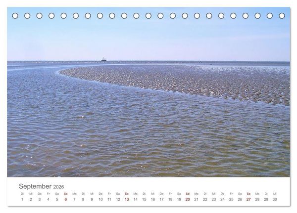 Produktbild: Mein B&uuml;sum - Das wundersch&ouml;ne Nordseeheilbad in Schleswig-Holstein (Tischkalender 2026 DIN A5 quer), CALVENDO Monatskalender