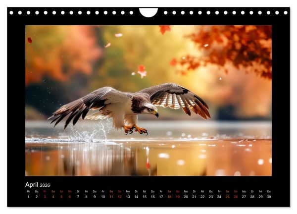 Produktbild: Geheimnisvolle Wildnis Deutschlands (Wandkalender 2026 DIN A4 quer), CALVENDO Monatskalender