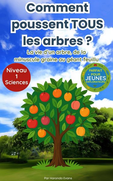 Produktbild: Comment poussent tous les arbres ? : La vie d'un arbre, de la minuscule graine au g&eacute;ant feuillu