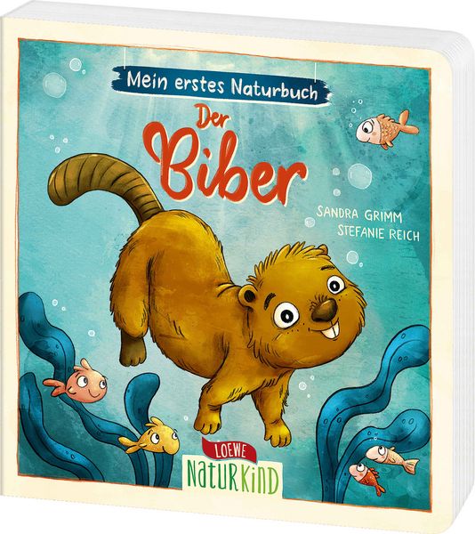 Produktbild: Mein erstes Naturbuch - Der Biber