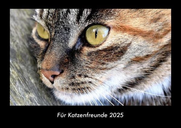Produktbild: F&uuml;r Katzenfreunde 2025 Fotokalender DIN A3