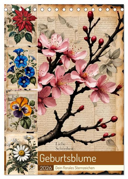 Produktbild: Geburtsblume, dein florales Sternzeichen (Tischkalender 2026 DIN A5 hoch), CALVENDO Monatskalender