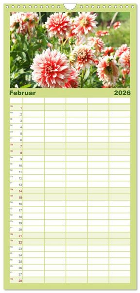 Produktbild: Familienplaner 2026 - Traumhafte Dahlien mit 5 Spalten (Wandkalender, 21 x 45 cm) CALVENDO
