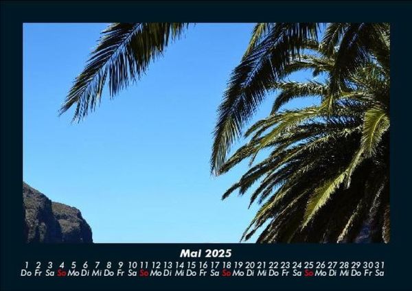 Produktbild: Palmentraum 2025 Fotokalender DIN A5