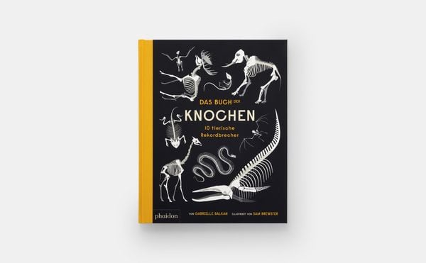 Produktbild: Das Buch der Knochen