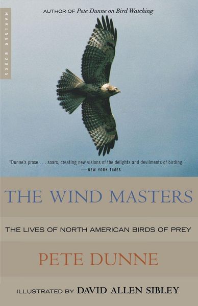 Produktbild: The Wind Masters