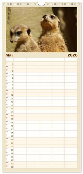 Produktbild: Familienplaner 2026 - Erdm&auml;nnchen: Zusammen sind wir stark mit 5 Spalten (Wandkalender, 21 x 45 cm) CALVENDO