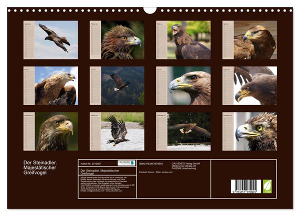 Produktbild: Der Steinadler. Majest&auml;tischer Greifvogel (Wandkalender 2026 DIN A3 quer), CALVENDO Monatskalender