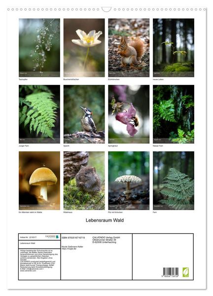Produktbild: Lebensraum Wald (Wandkalender 2026 DIN A2 hoch), CALVENDO Monatskalender