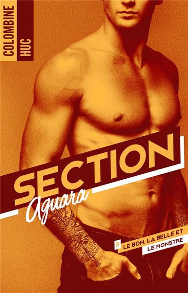 Produktbild: Section aguara co - tome 3