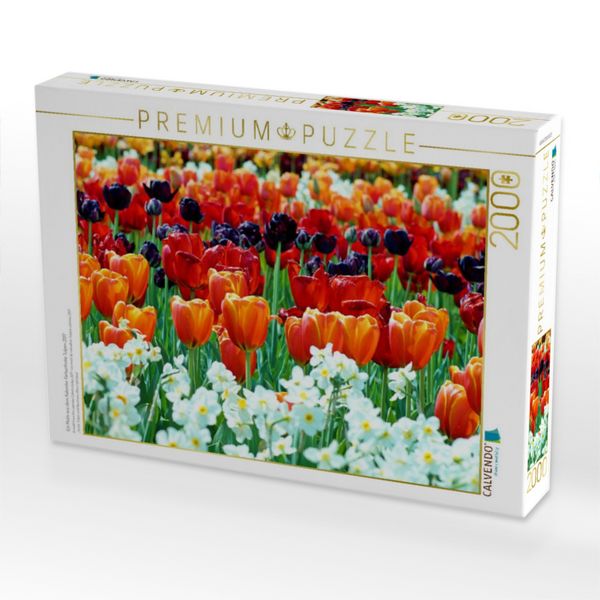 Produktbild: CALVENDO Puzzle Ein Motiv aus dem Kalender Farbenfrohe Tulpen 2017 | 2000 Teile Lege-Gr&ouml;&szlig;e 90x67cm Foto-Puzzle f&uuml;r gl&uuml;ckliche Stunden