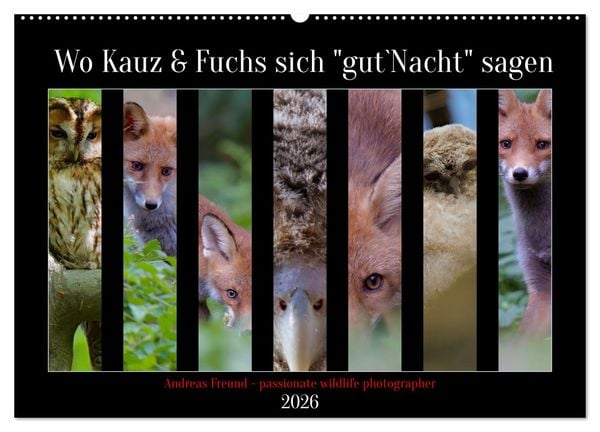 Wo Kauz & Fuchs sich 'gut`Nacht' sagen (Wandkalender 2026 DIN A2 quer), CALVENDO Monatskalender
