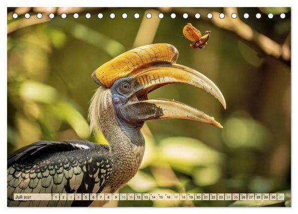 Produktbild: Nashornv&ouml;gel (Tischkalender 2027 DIN A5 quer), CALVENDO Monatskalender