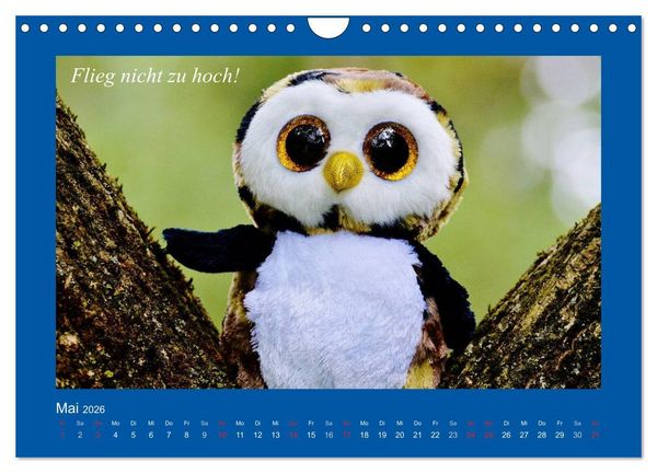 Produktbild: Sommer im Teddy-Land. B&auml;r und Freunde (Wandkalender 2026 DIN A4 quer), CALVENDO Monatskalender