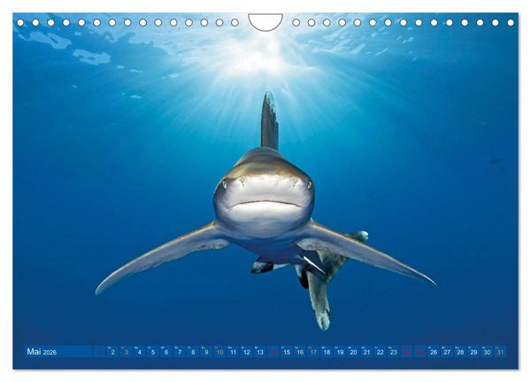 Produktbild: Planet Wasser: Von wegen Planet Erde (Wandkalender 2026 DIN A4 quer), CALVENDO Monatskalender