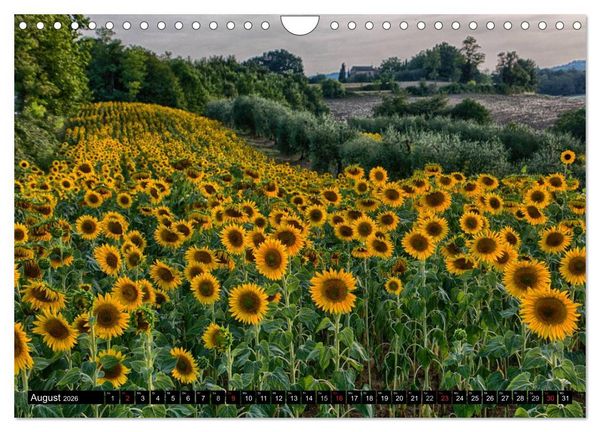 Produktbild: Abends in der Toskana (Wandkalender 2026 DIN A4 quer), CALVENDO Monatskalender