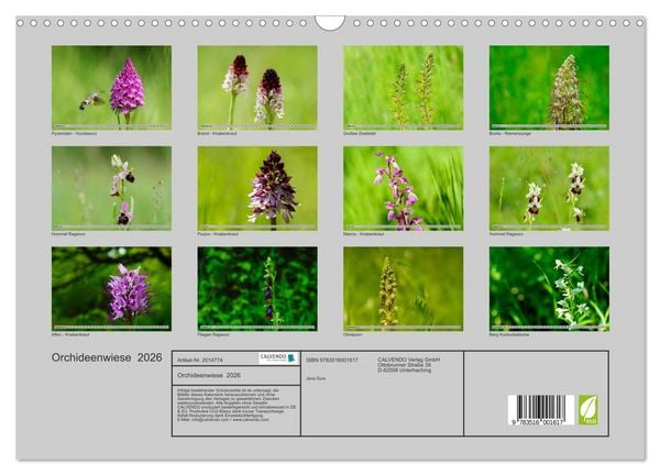 Produktbild: Orchideenwiese 2026 (Wandkalender 2026 DIN A3 quer), CALVENDO Monatskalender