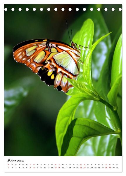 Produktbild: Costa Rica - Fauna & Flora (Tischkalender 2026 DIN A5 hoch), CALVENDO Monatskalender