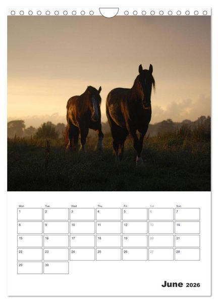 Produktbild: Shire Horses The Gentle Giants (Wall Calendar 2026 DIN A4 portrait), CALVENDO 12 Month Wall Calendar