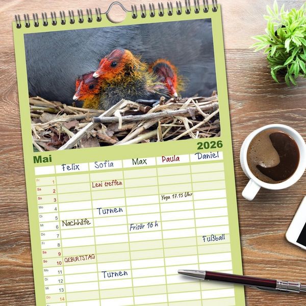 Produktbild: Familienplaner 2026 - Die lieben Kleinen ... Tierkinder einfach zum Knuddeln mit 5 Spalten (Wandkalender, 21 x 45 cm) CALVENDO